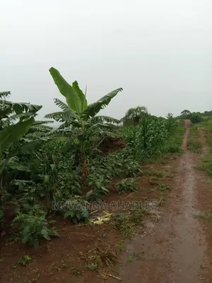 Land for Sale in Zirobwe Wabutungulu