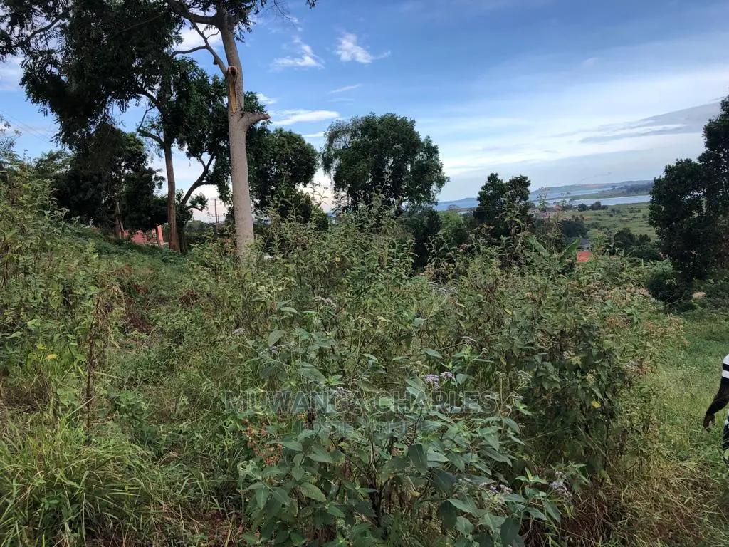 Plot for Sale in Nkumba Entebbe
