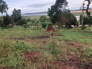 Plot for Sale in Nkumba Entebbe