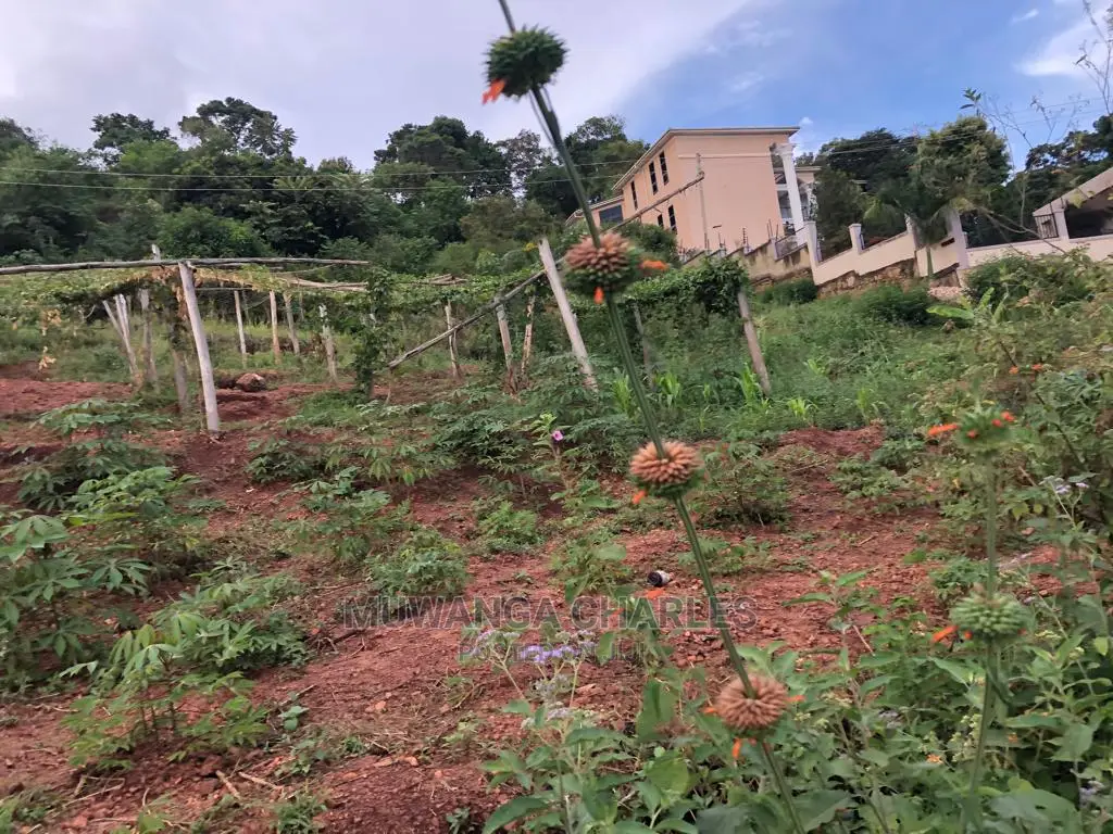 Plot for Sale in Nkumba Entebbe