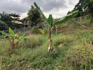 Plot for Sale in Nkumba Entebbe