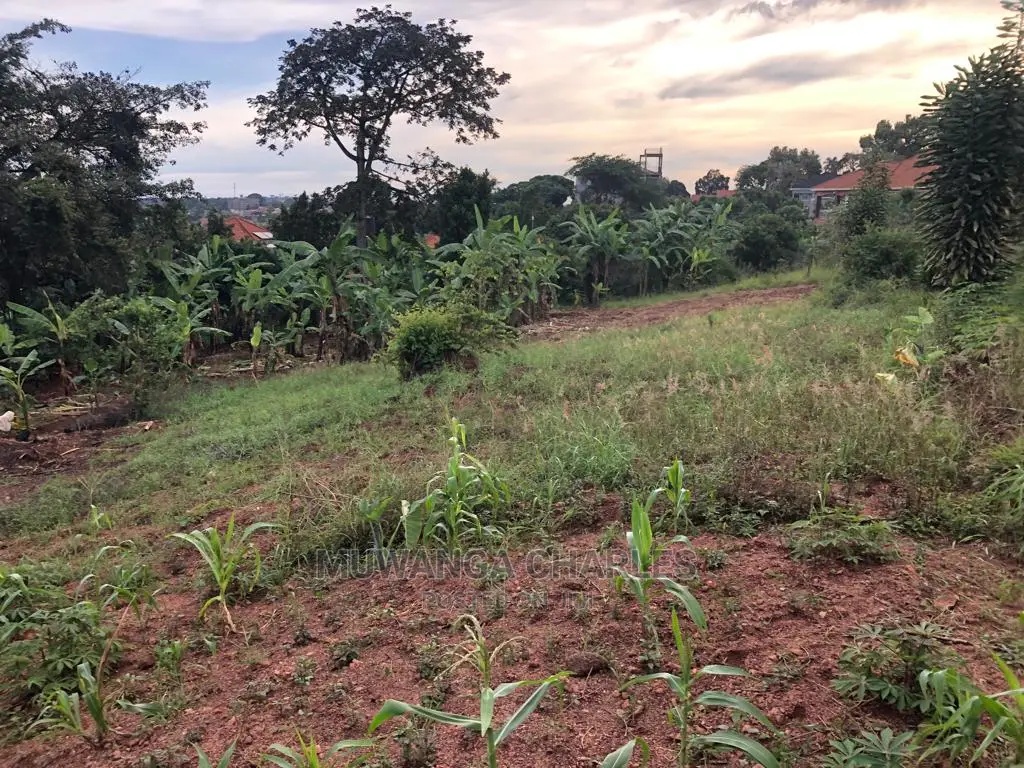 Plot for Sale in Nkumba Entebbe