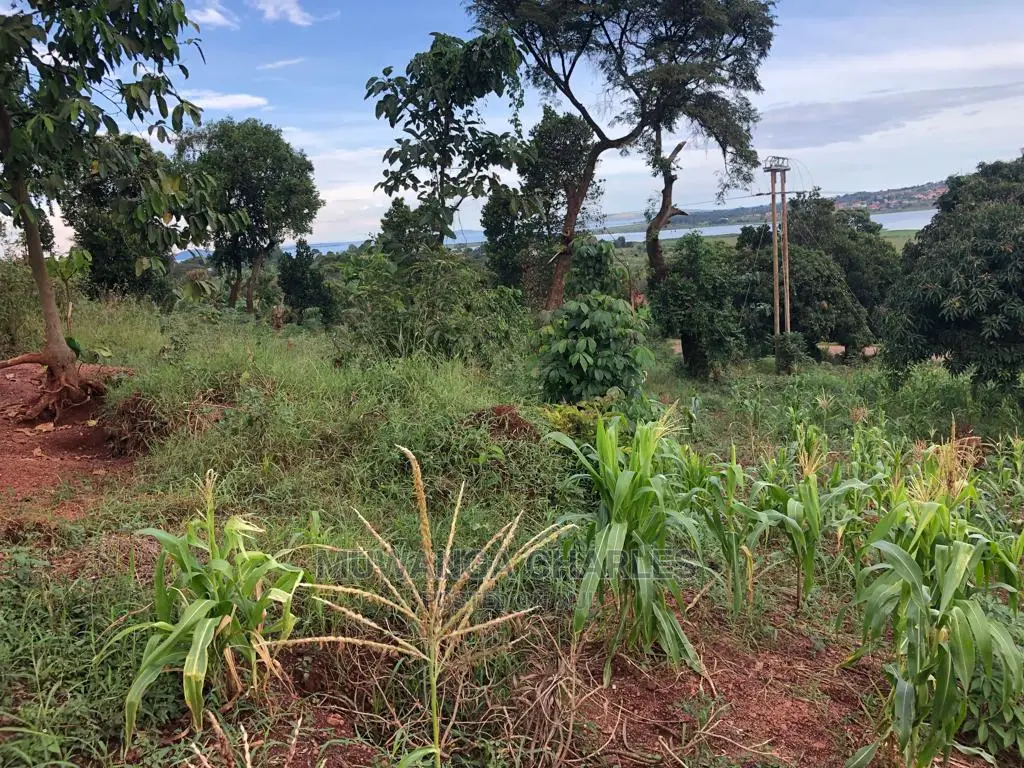 Plot for Sale in Nkumba Entebbe