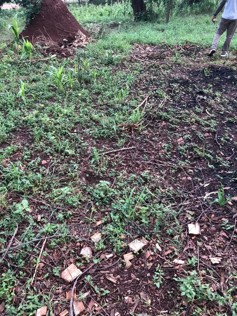 Plot for Sale in Nkumba Entebbe