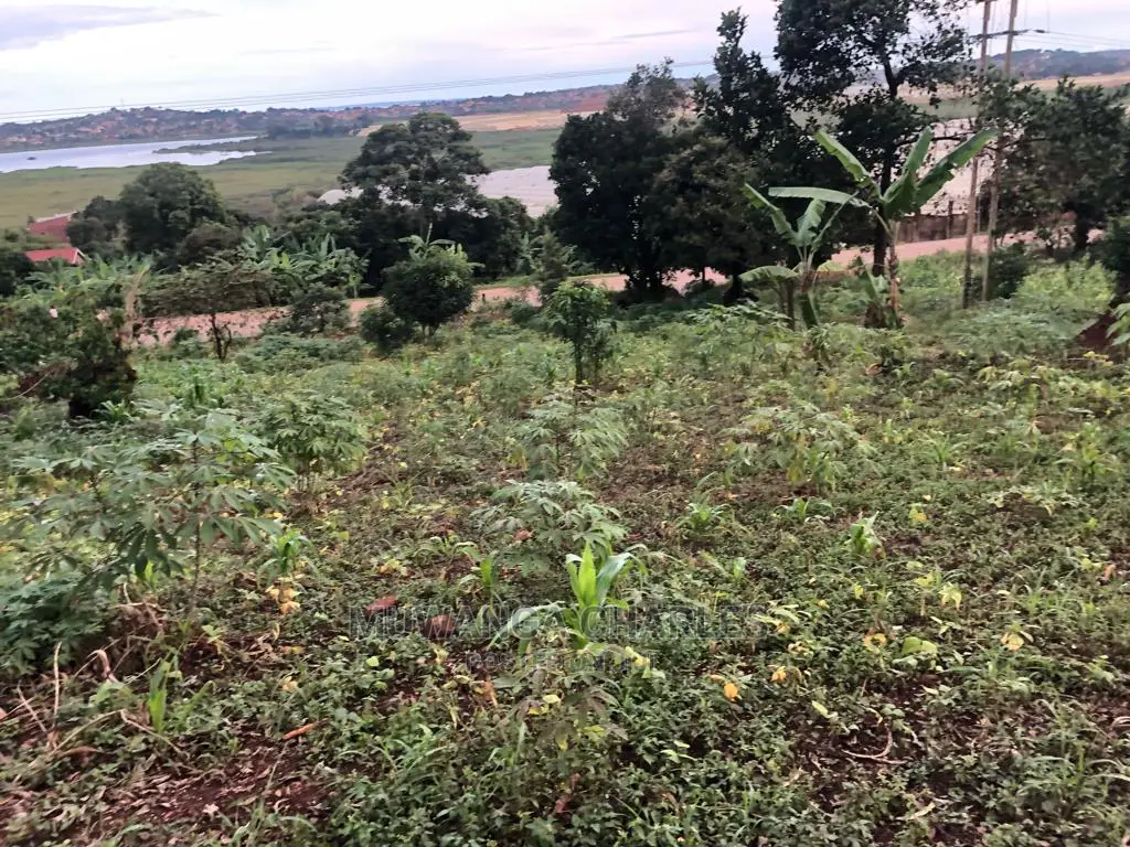 Plot for Sale in Nkumba Entebbe