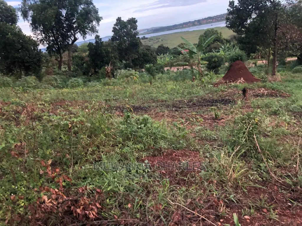 Plot for Sale in Nkumba Entebbe