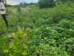 10acres for Sale in Luwero