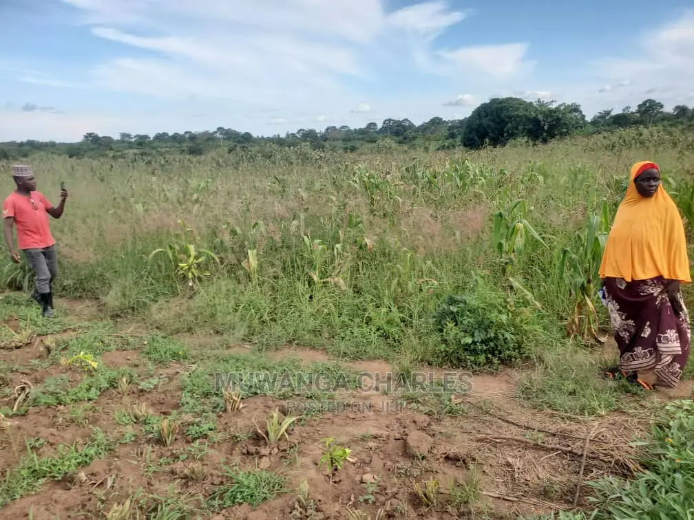10acres for Sale in Luwero