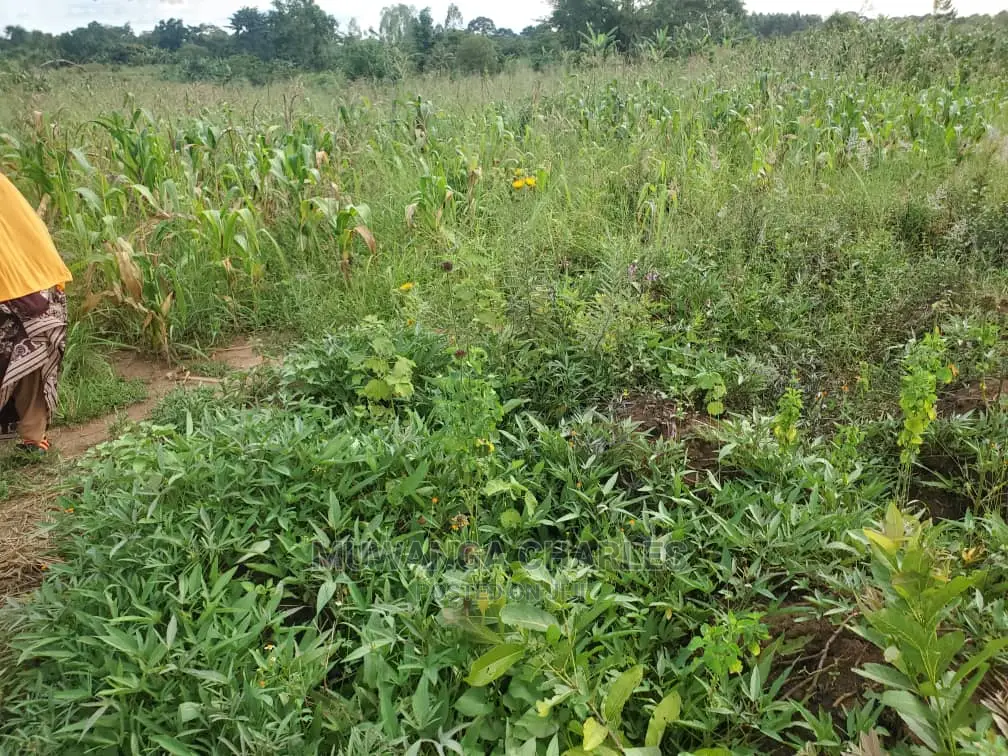 10acres for Sale in Luwero