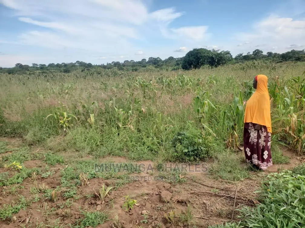 10acres for Sale in Luwero