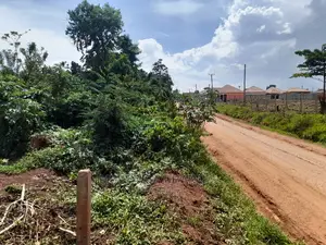 Plot of Sale in Kira Kitukutwe