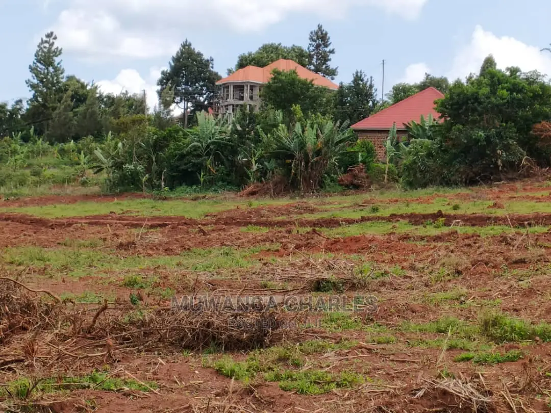 Plot of Sale in Kira Kitukutwe