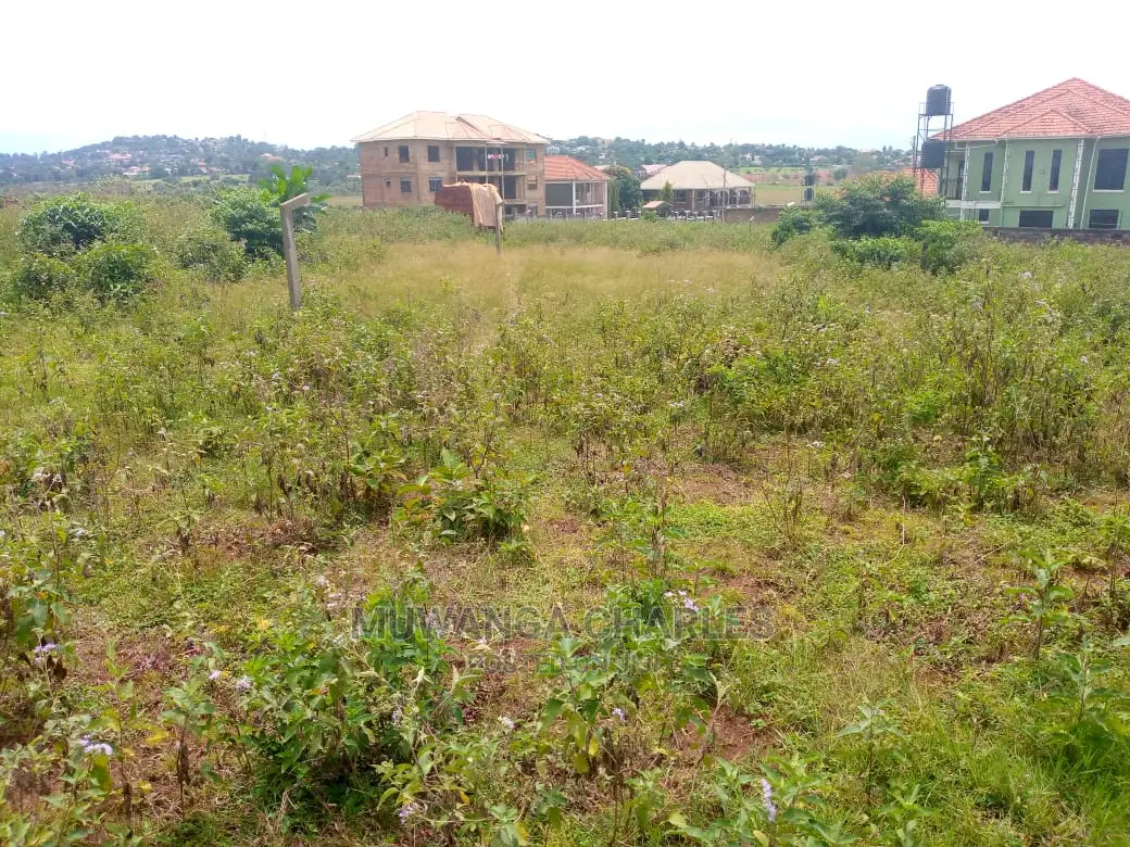 Plot for Sale in Kira Shimon