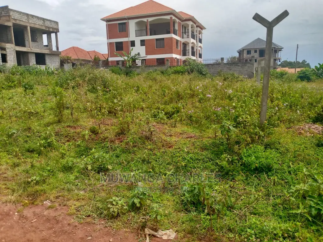 Plot for Sale in Kira Shimon