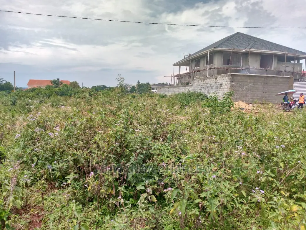 Plot for Sale in Kira Shimon