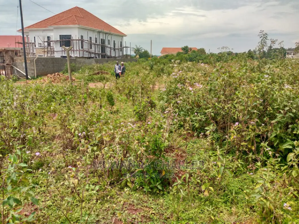 Plot for Sale in Kira Shimon