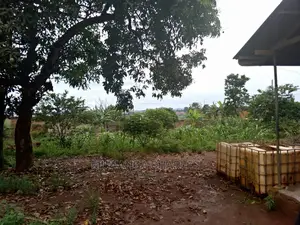 50decimals of Land for Sale in Kungu