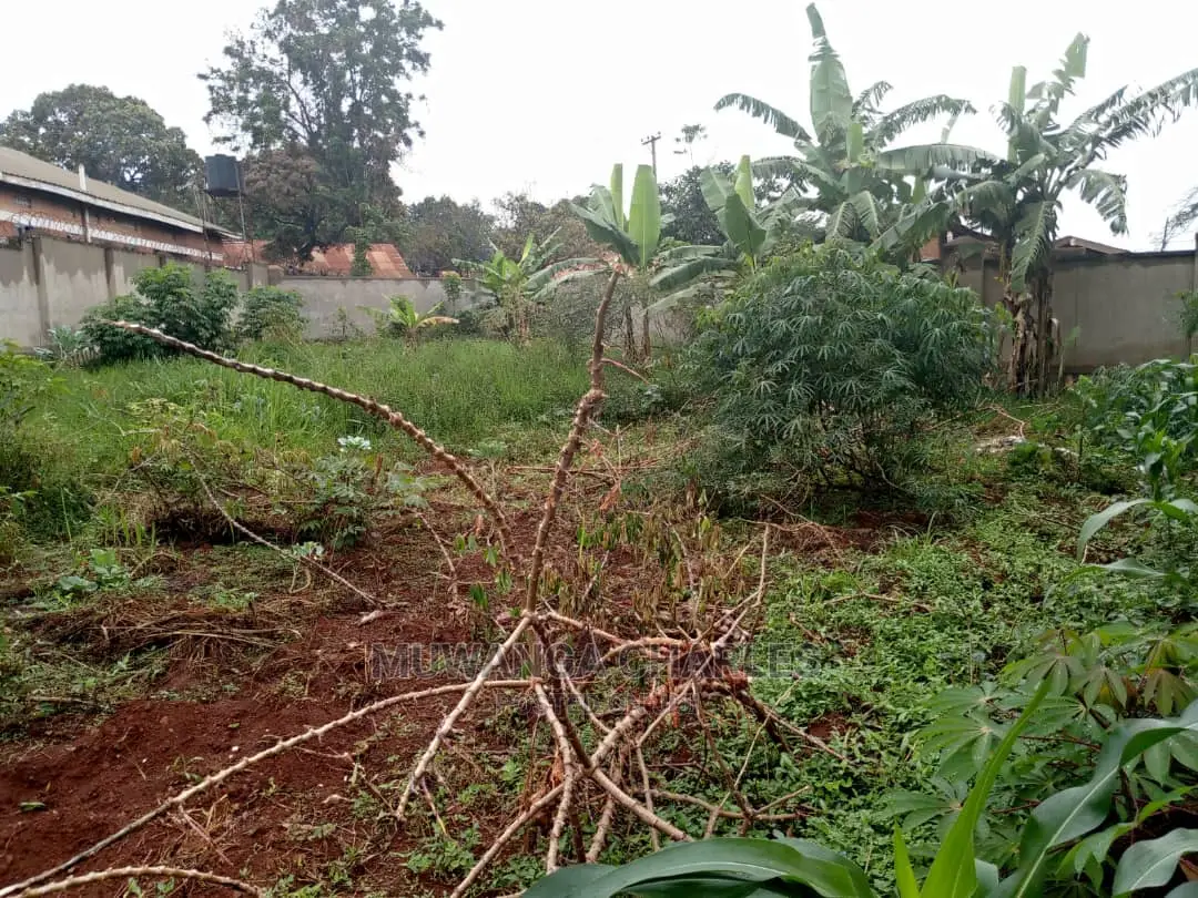 50decimals of Land for Sale in Kungu