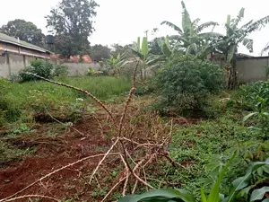 50decimals of Land for Sale in Kungu