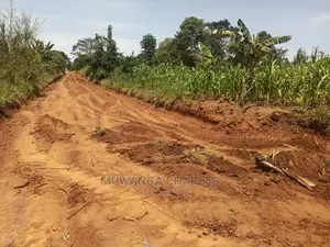 Plot for Sale in Gayaza Kabubbu