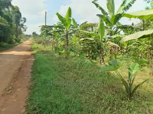 100by50ft Plot for Sale in Gayaza Kabubbu