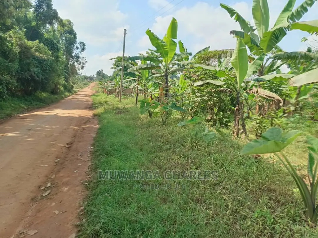 100by50ft Plot for Sale in Gayaza Kabubbu