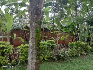 4bdrm Bungalow in Fs Properties Ltd, Central Division for Rent