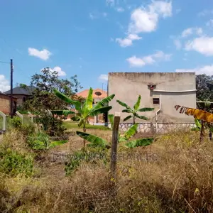 100by50ft Plot for Sale in Gayaza