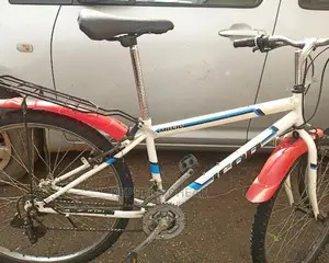 Adult Bicycles