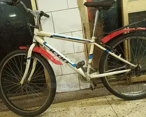 Adult Bicycles