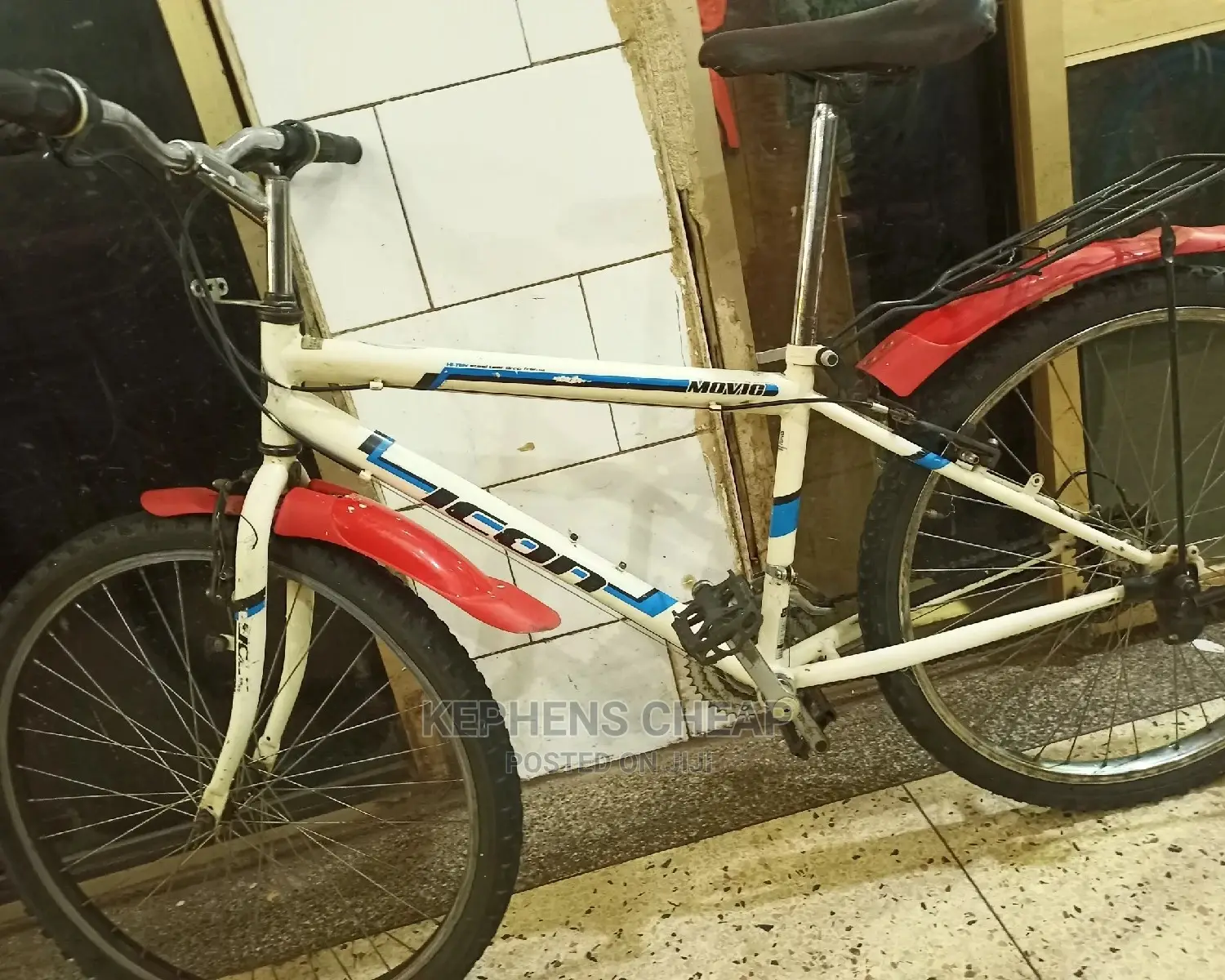 Adult Bicycles