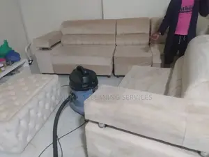 Super Sofa Cleaning in Progress