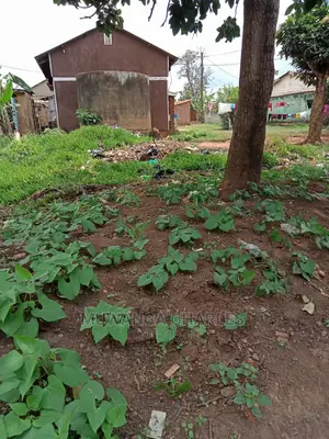 32decimals of Land for Sale in Bukoto