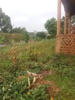 25decimals of Land for Sale in Bukoto