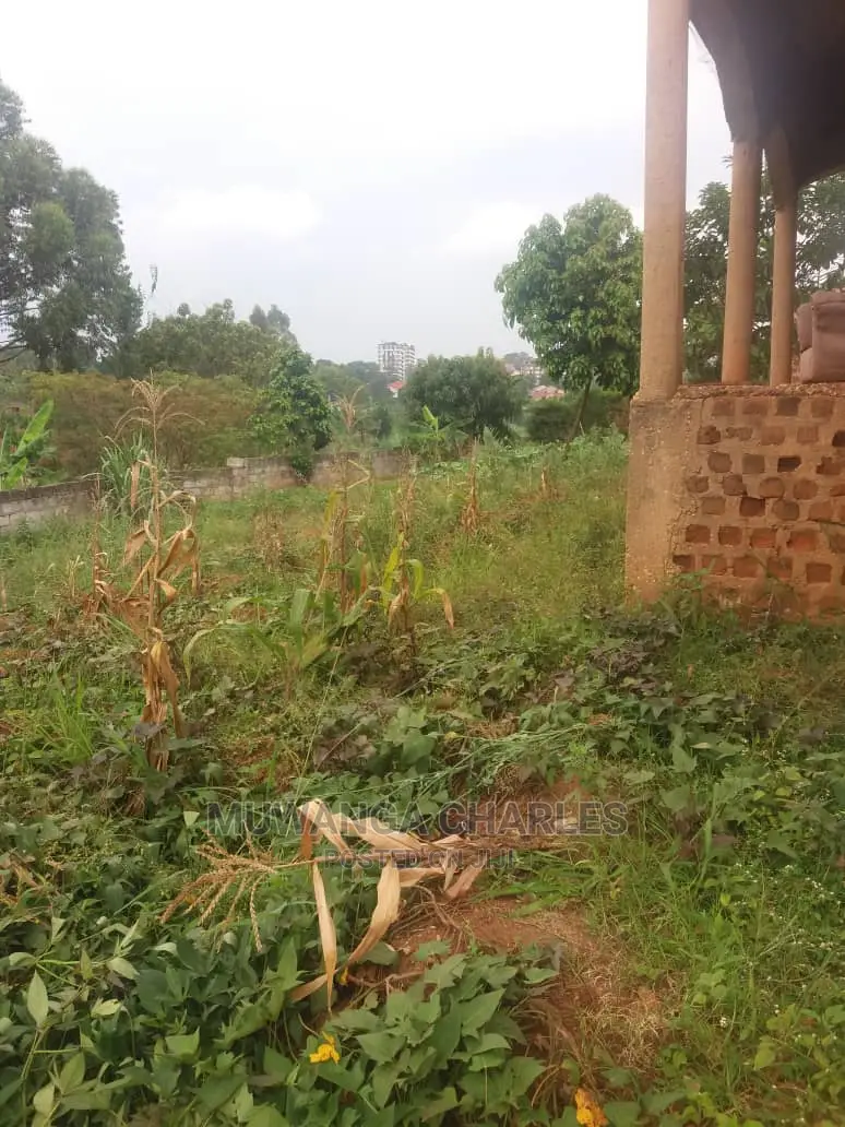 25decimals of Land for Sale in Bukoto