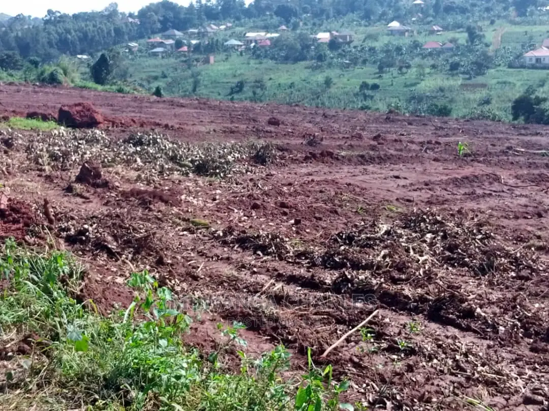100by50ft Plot for Sale in Busika