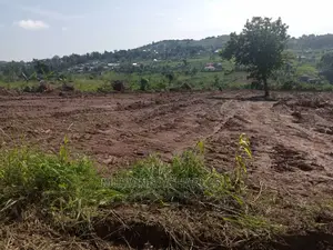 100by50ft Plot for Sale in Busika