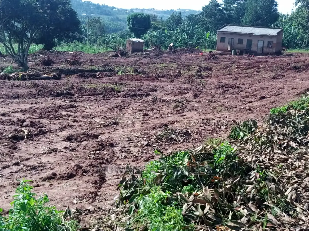 100by50ft Plot for Sale in Busika