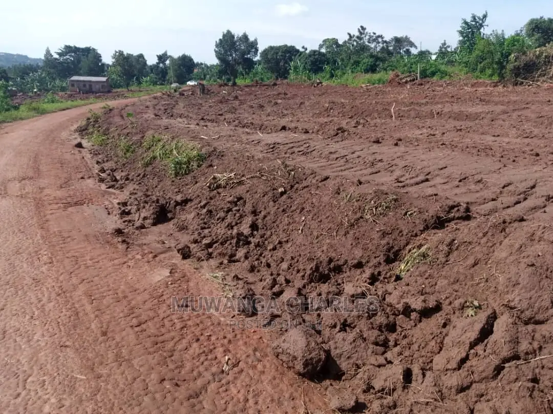 100by50ft Plot for Sale in Busika