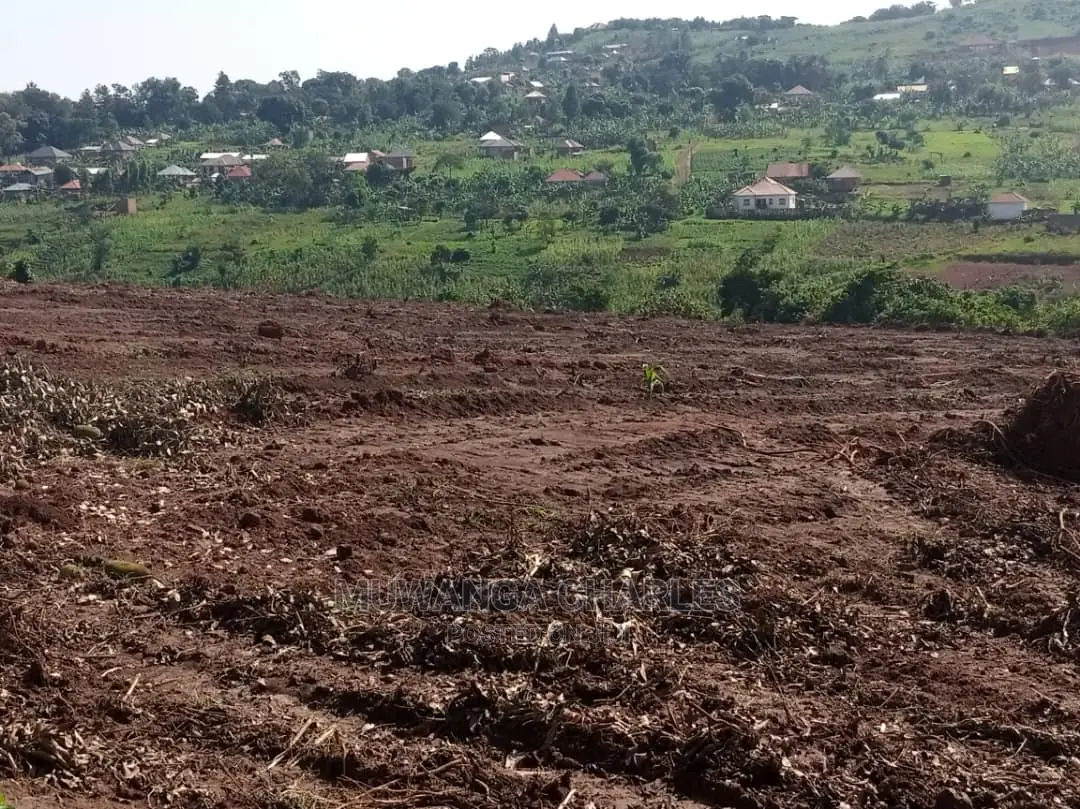 100by50ft Plot for Sale in Busika