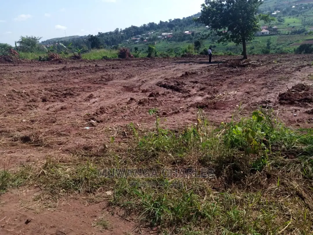 100by50ft Plot for Sale in Busika