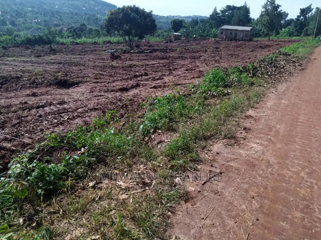 100by50ft Plot for Sale in Busika