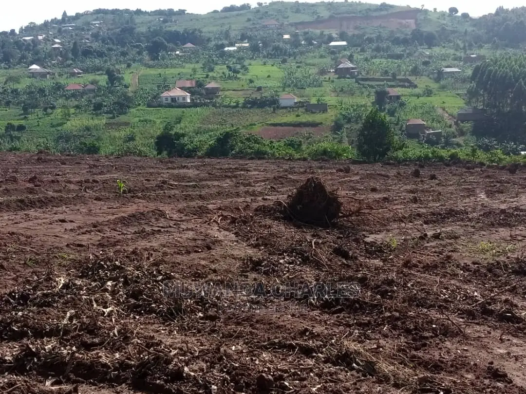 100by50ft Plot for Sale in Busika