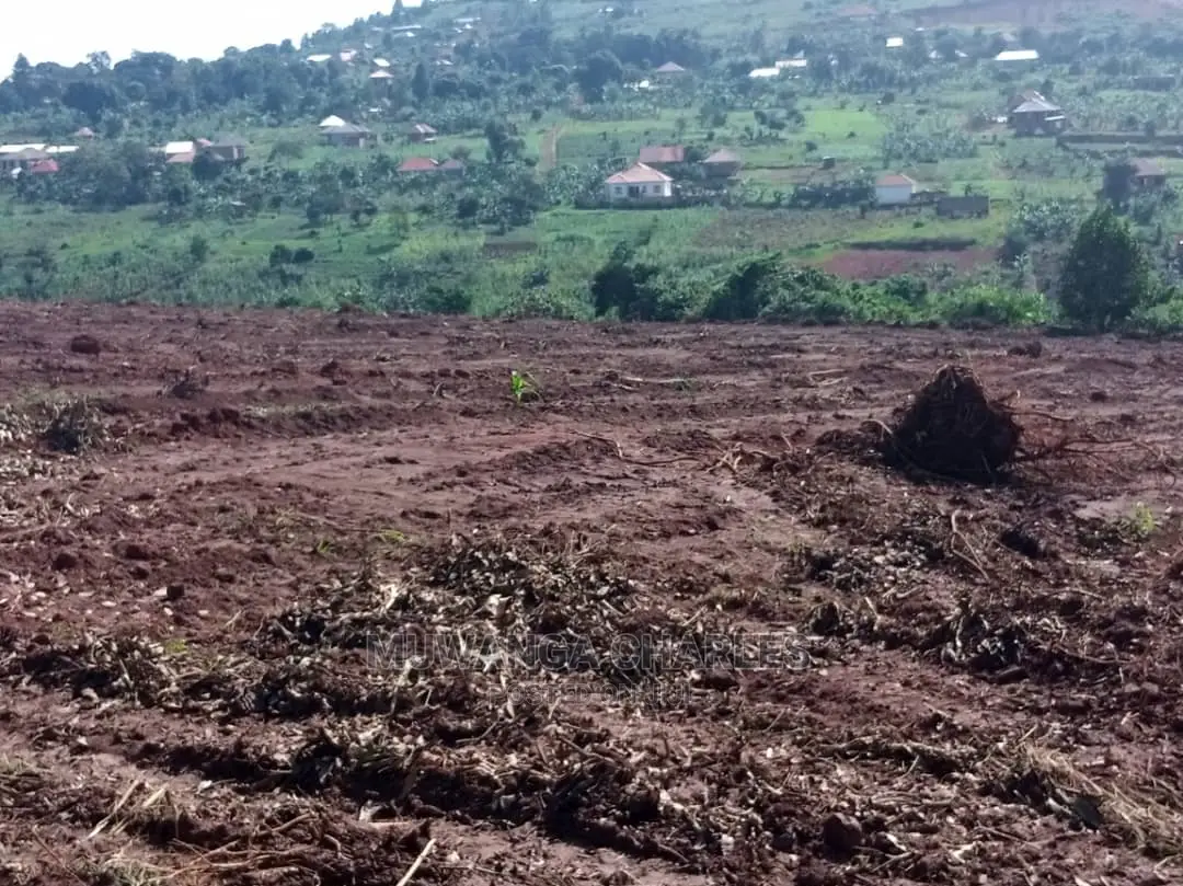 100by50ft Plot for Sale in Busika