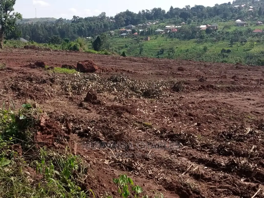100by50ft Plot for Sale in Busika