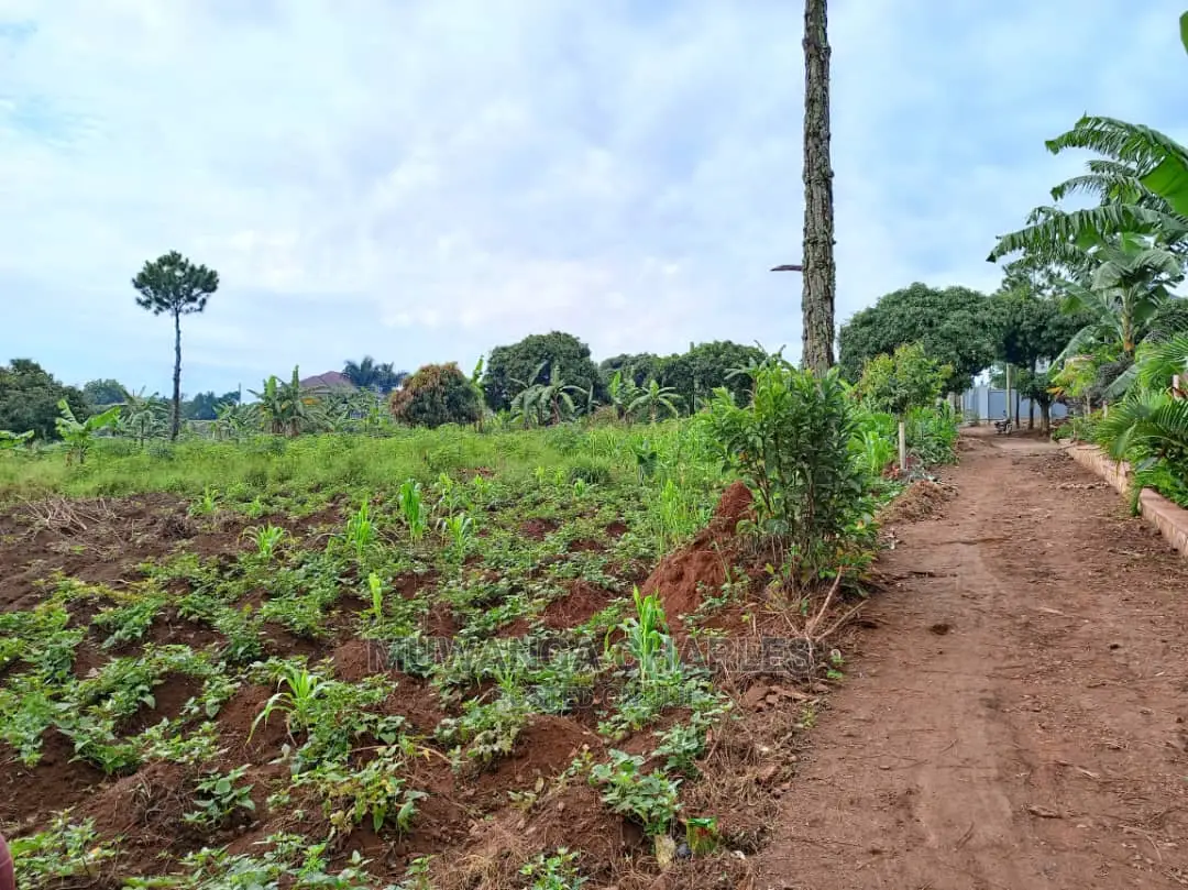 50decimals in Kajjansi Bweya for Sale