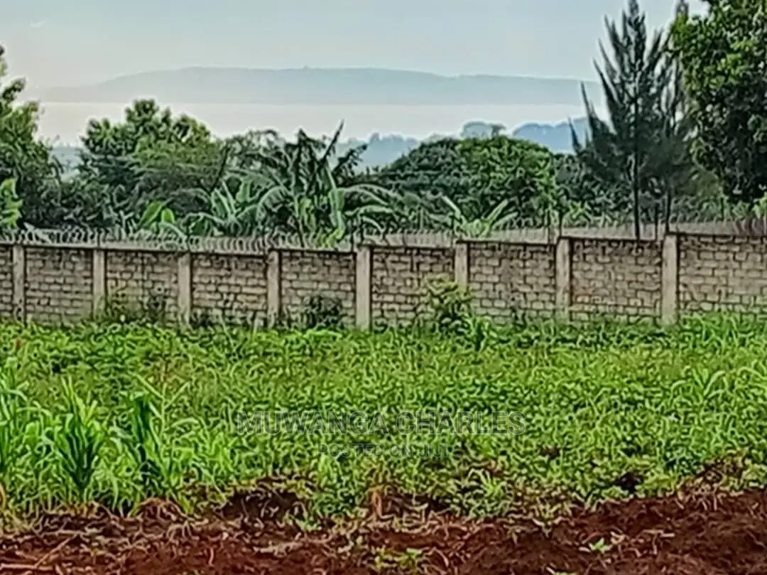 50decimals in Kajjansi Bweya for Sale