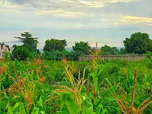 50decimals in Kajjansi Bweya for Sale