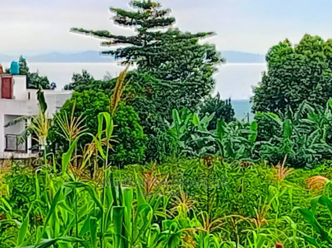 50decimals in Kajjansi Bweya for Sale