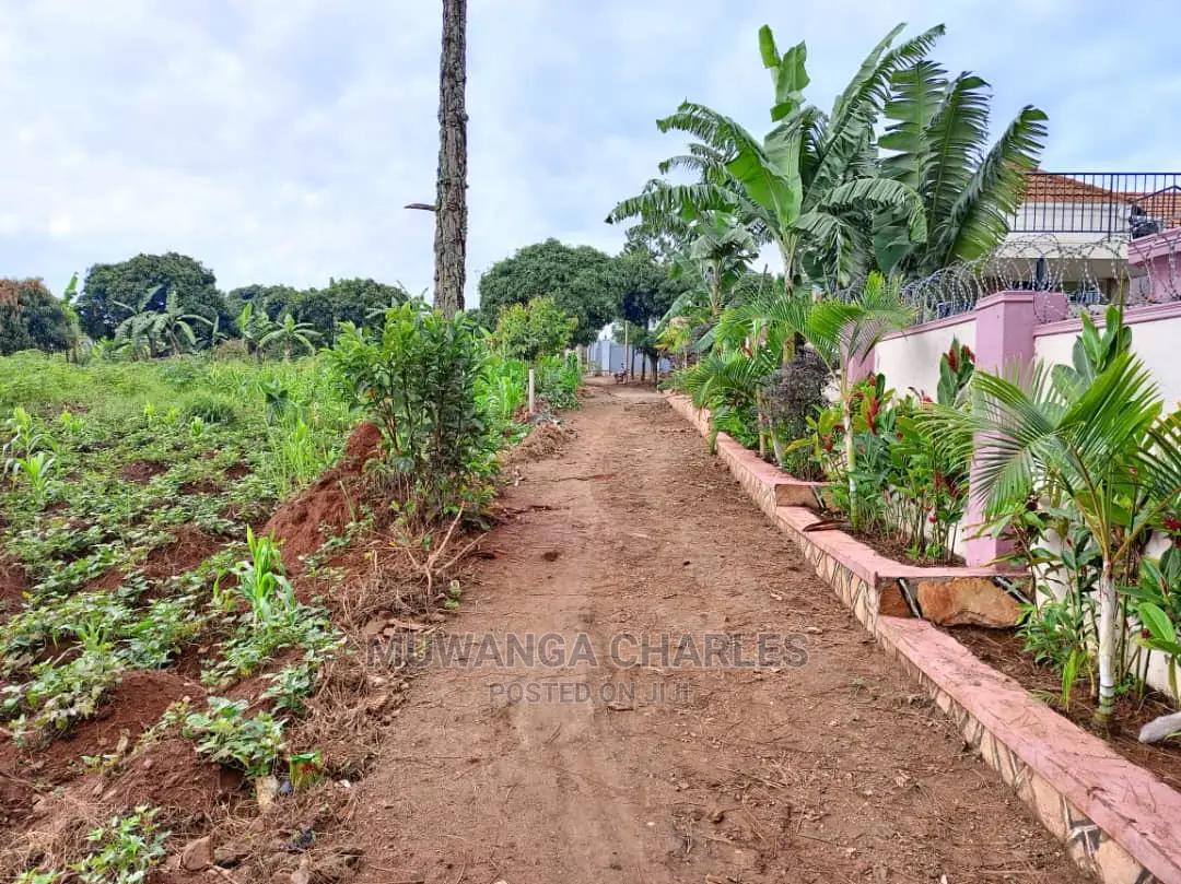 50decimals in Kajjansi Bweya for Sale